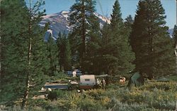 Camping in the HIgh Sierras/ Mono Village Resort Bridgeport, CA Postcard Postcard Postcard