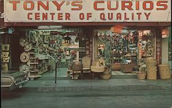 Tony's Curios Postcard