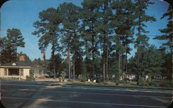 Forest Motor Court Postcard