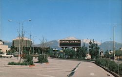 Greetings from San Bernardino, California Postcard