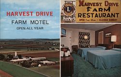 Harvest Drive Farm Motel and Restaurant Gordonville, PA Postcard Postcard Postcard