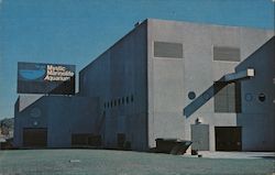 Mystic Marinelife Aquarium Postcard