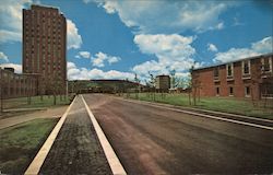 State University of N.Y. at Binghamton Postcard