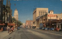 Hollywood Boulevard Postcard