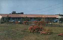 Willow Motel & Cottages Postcard