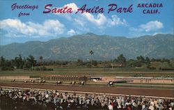 Greetings from Santa Anita Park Arcadia, CA Postcard Postcard Postcard