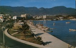 Fishing Docks and Malecon Postcard