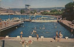 Outdoor Pool, Kelowna Aquatic Postcard