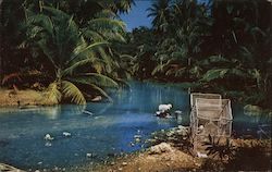 Wash Day! Jamaica Postcard