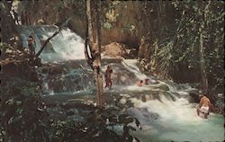 Dunns River Falls Ocho Rios, Jamaica Postcard Postcard Postcard