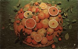 Citrus Fruits of South Texas Postcard