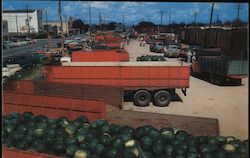 Watermelons Postcard