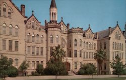 Stock #712550 Thumbnail