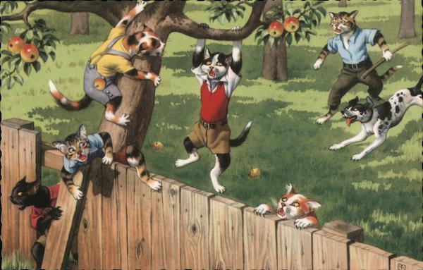 Cats in Clothing Climbing a Tree and Fence