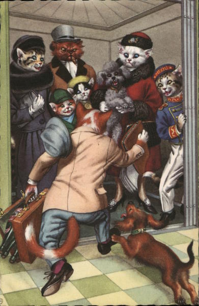 Cats in Clothing with Dogs on an Elevator