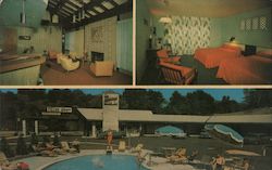 The Springs Motor Inn and Restaurant New Ashford, MA Postcard Postcard Postcard