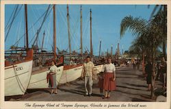 The Sponge Heet at Tarpon Springs, Florida is Famous the World Over Postcard Postcard Postcard