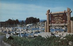 View of Yacht Harbor Santa Cruz, CA Postcard Postcard Postcard