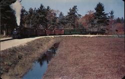 Express Freight Through Cranberry Plantation Postcard