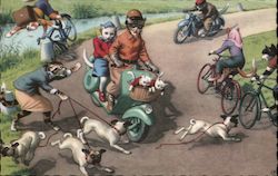 A Cat Walking Dogs Disrupts Cats Riding Bicycles & Motorcycles. Postcard
