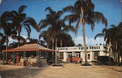 Ferris Groves Postcard