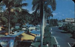 Royal Palm Trailer Park Hallandale, FL Postcard Postcard Postcard