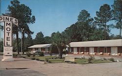 Pines Motel Postcard