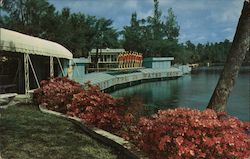 Weeki Wachee Mermaid Show Florida Postcard Postcard Postcard