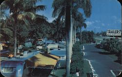 Royal Palm Trailer Park Hallandale Beach, FL Postcard Postcard Postcard