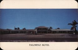 Palomino Motel Postcard