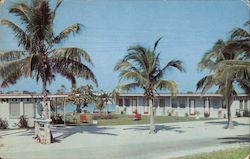 Island Motel Fort Myers, FL Postcard Postcard Postcard