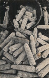 Field Corn, Hook's 1890 Drug Store Postcard