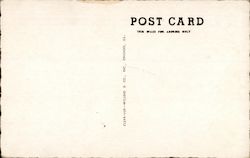 back