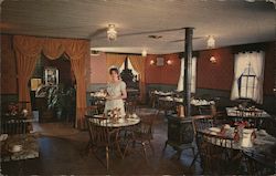 Along the '49er Trail Postcard