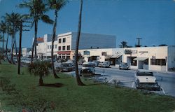 Flagler Avenue Business Section Postcard