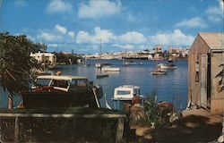 Bermuda's Fast Cedar Privateers Postcard