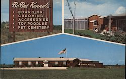 BoBet Kennels Postcard