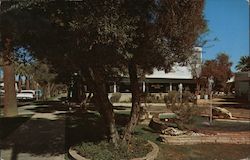 Los Olivos Lodge Hotel Postcard