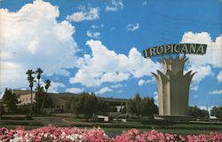 Stock #713685 Thumbnail