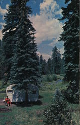 One of Hundreds of Beautiful Campsites of the Apache Reservation and National Forests Postcard