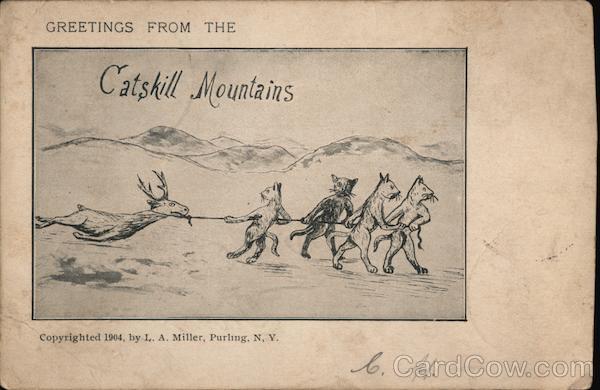 Greetings from the Catskill Mountains Comic, Funny