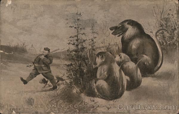 The Only Possums That Escaped Hunting