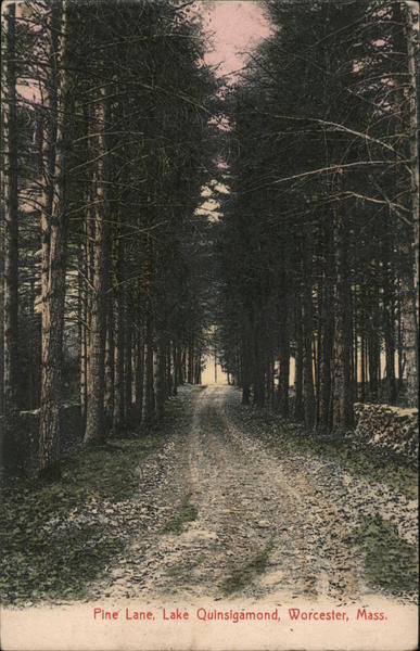 Pine Lane, Lake Quinsigamond Worcester Massachusetts