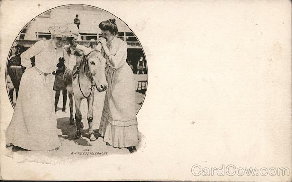 A Wireless Telephone Donkeys