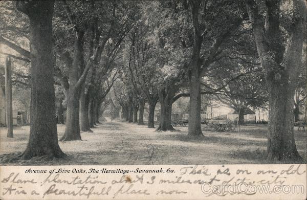 Avenue of Live Oaks, The Hermitage Savannah Georgia