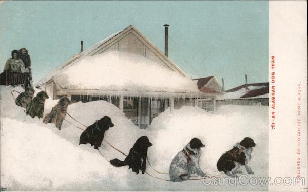 An Alaskan Dog Team