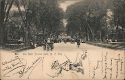 The Mall, Central Park Postcard