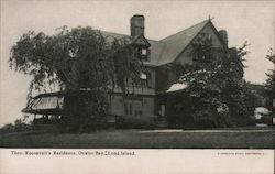 The Roosevelt's Residence Postcard