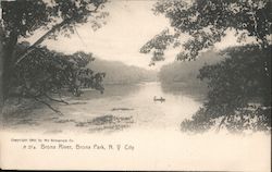 Bronx River, Bronx Park Postcard