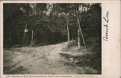 Entrance to Pres. Roosevelt's Estate Postcard